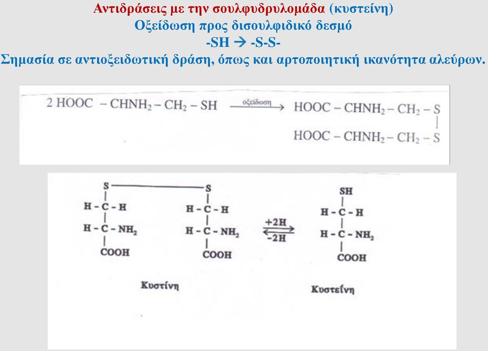 δεσμό -SH -S-S- Σημασία σε
