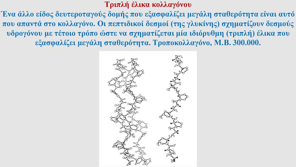 Οι πεπτιδικοί δεσμοί (της γλυκίνης) σχηματίζουν δεσμούς υδρογόνου με τέτοιο τρόπο