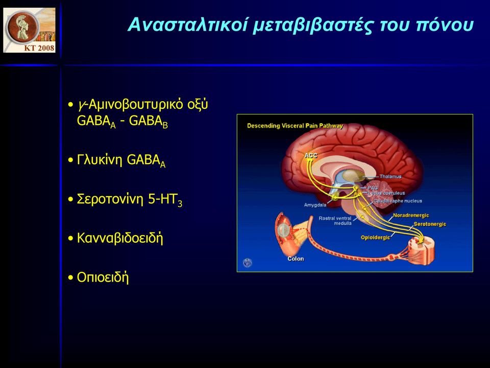 A -GABA B Γλυκίνη GABA A