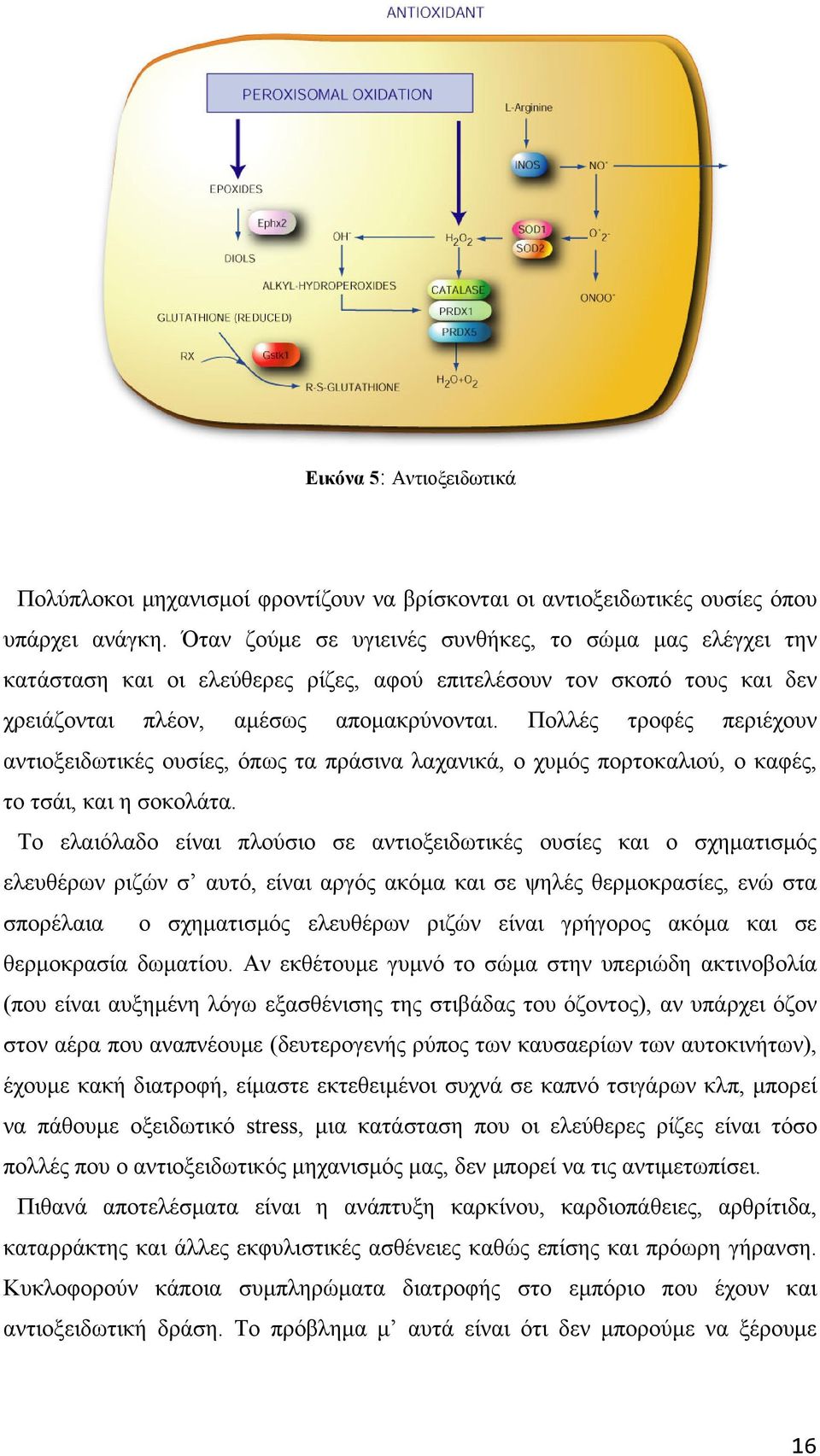 Πολλές τροφές περιέχουν αντιοξειδωτικές ουσίες, όπως τα πράσινα λαχανικά, ο χυμός πορτοκαλιού, ο καφές, το τσάι, και η σοκολάτα.