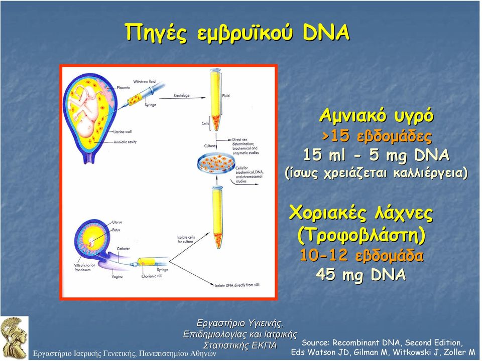 455 mg DNA Source: Recombinant DNA, Second Edition, Εργαστήριο Ιατρικής