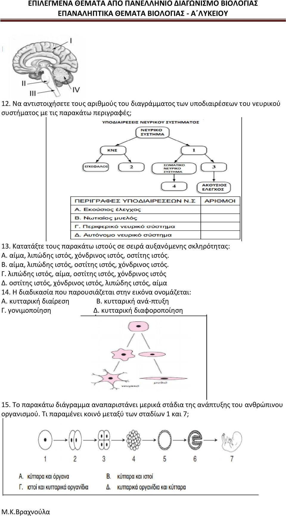 Γ. λιπώδης ιστός, αίμα, οστίτης ιστός, χόνδρινος ιστός Δ. οστίτης ιστός, χόνδρινος ιστός, λιπώδης ιστός, αίμα 14. Η διαδικασία που παρουσιάζεται στην εικόνα ονομάζεται: Α.