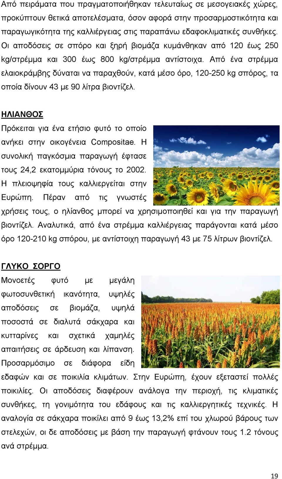 Από ένα στρέμμα ελαιοκράμβης δύναται να παραχθούν, κατά μέσο όρο, 120-250 kg σπόρος, τα οποία δίνουν 43 με 90 λίτρα βιοντίζελ.