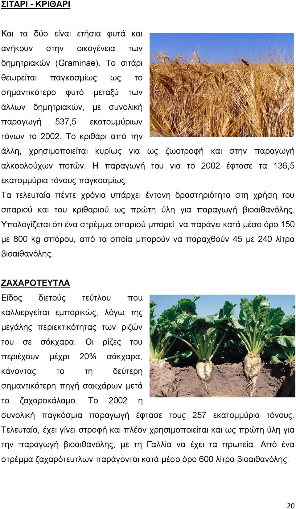 Το κριθάρι από την άλλη, χρησιμοποιείται κυρίως για ως ζωοτροφή και στην παραγωγή αλκοολούχων ποτών. Η παραγωγή του για το 2002 έφτασε τα 136,5 εκατομμύρια τόνους παγκοσμίως.