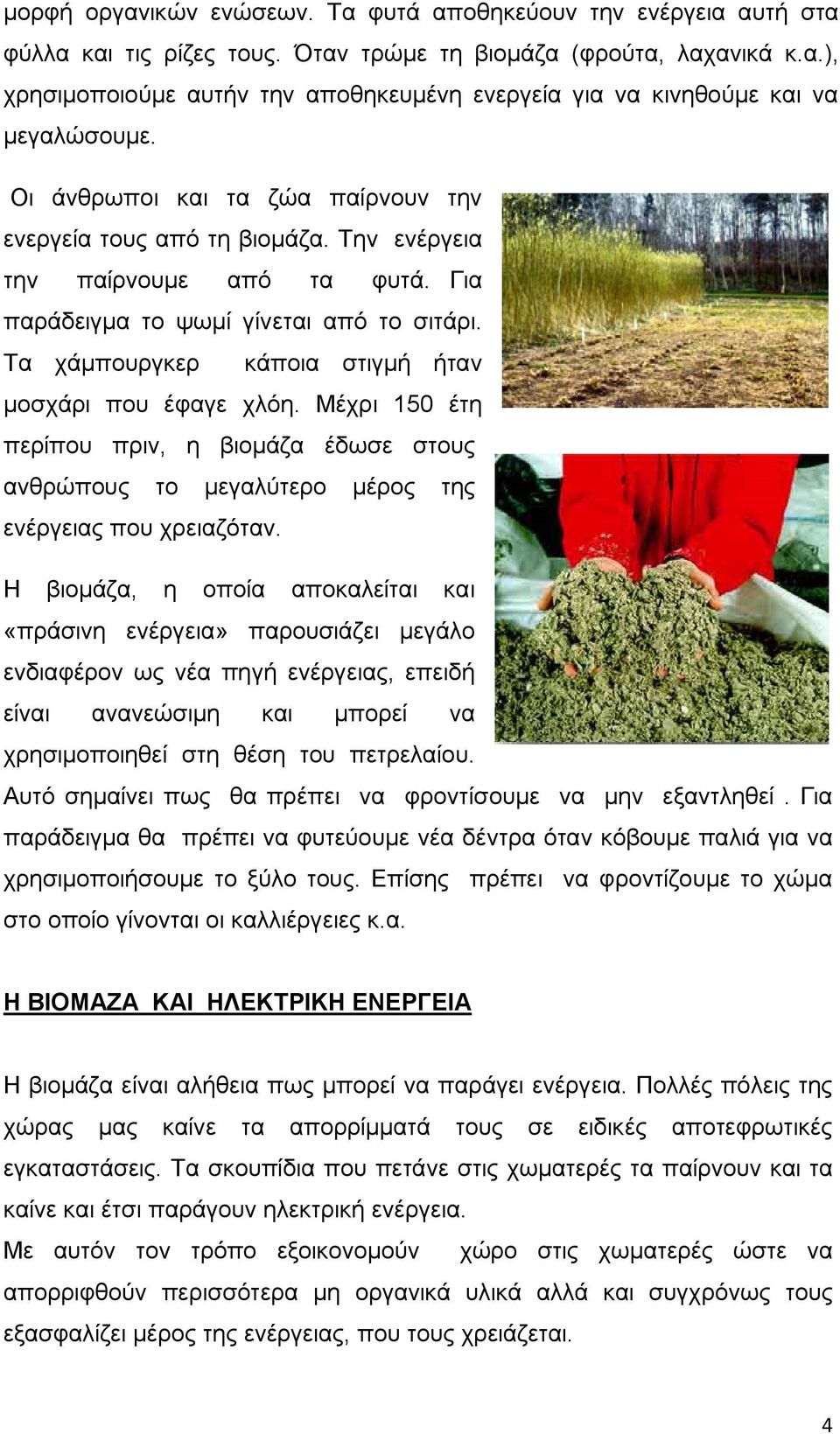Τα χάμπουργκερ κάποια στιγμή ήταν μοσχάρι που έφαγε χλόη. Μέχρι 150 έτη περίπου πριν, η βιομάζα έδωσε στους ανθρώπους το μεγαλύτερο μέρος της ενέργειας που χρειαζόταν.