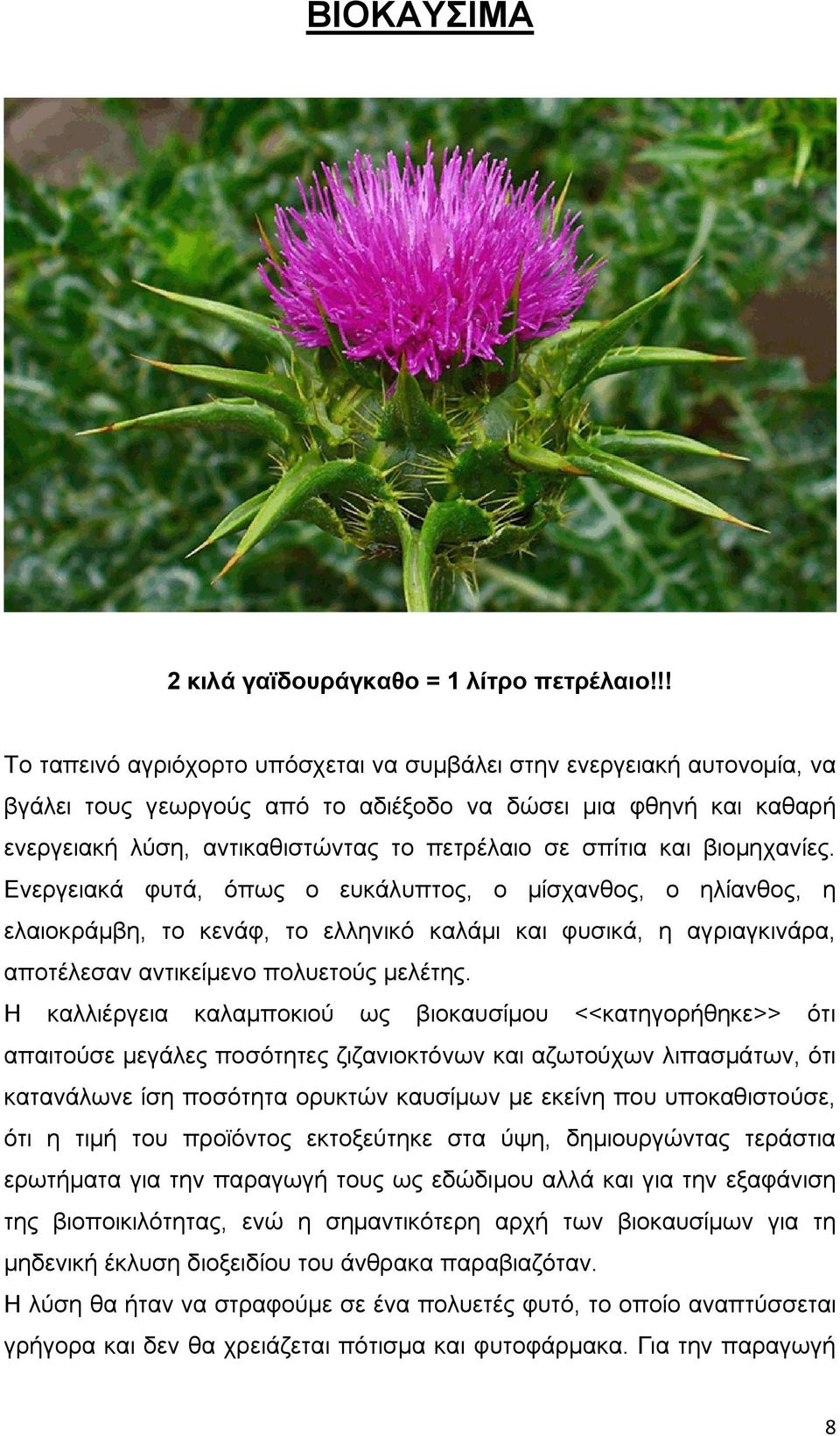 και βιομηχανίες. Ενεργειακά φυτά, όπως ο ευκάλυπτος, ο μίσχανθος, ο ηλίανθος, η ελαιοκράμβη, το κενάφ, το ελληνικό καλάμι και φυσικά, η αγριαγκινάρα, αποτέλεσαν αντικείμενο πολυετούς μελέτης.