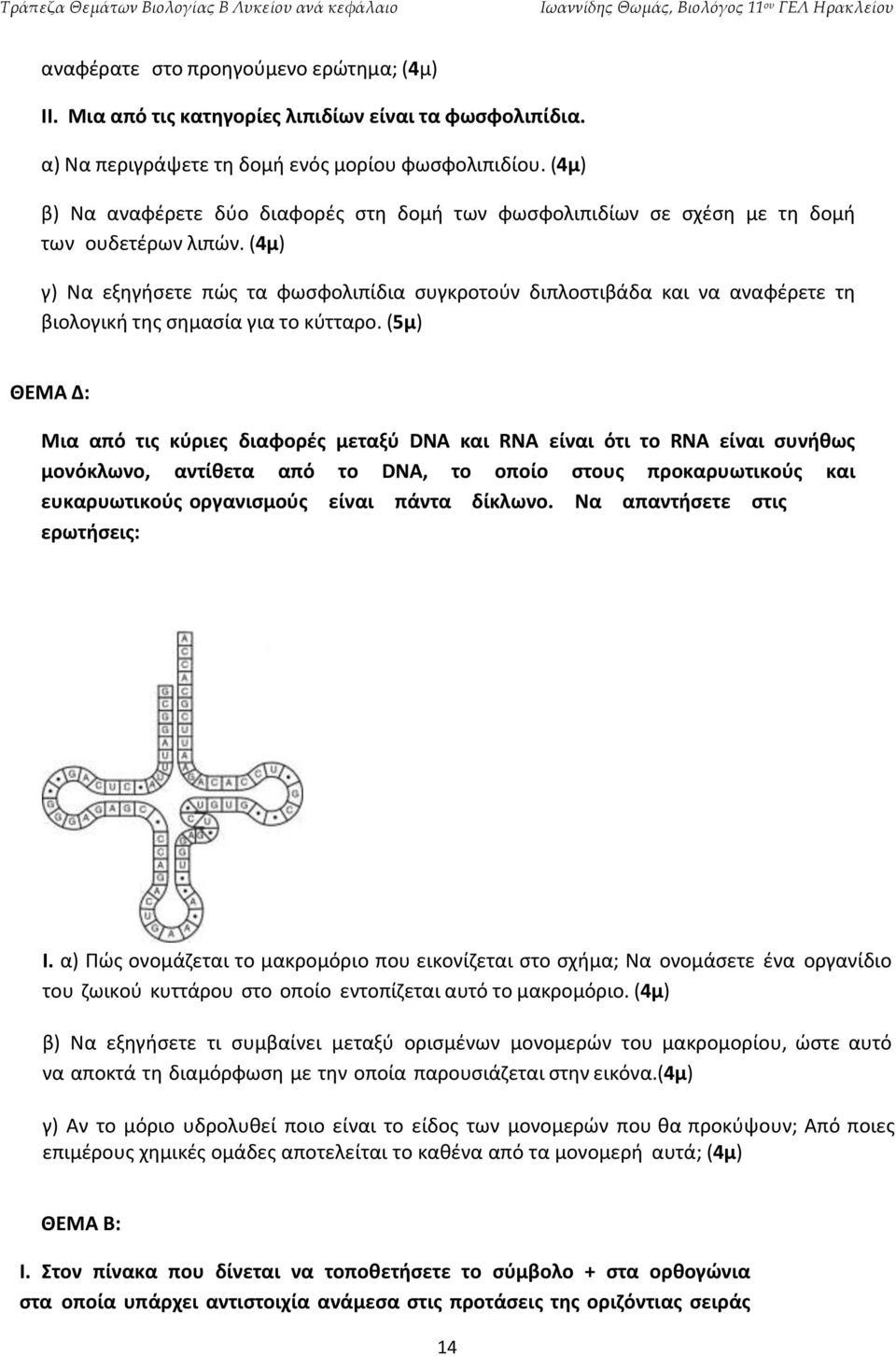 (4μ) γ) Να εξηγήσετε πώς τα φωσφολιπίδια συγκροτούν διπλοστιβάδα και να αναφέρετε τη βιολογική της σημασία για το κύτταρο.