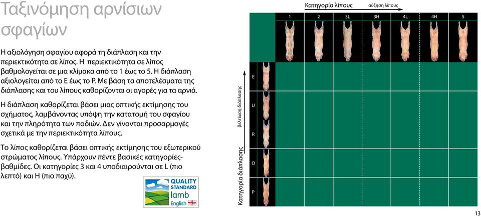 Με βάση τα αποτελέσματα της διάπλασης και του λίπους καθορίζονται οι αγορές για τα αρνιά.
