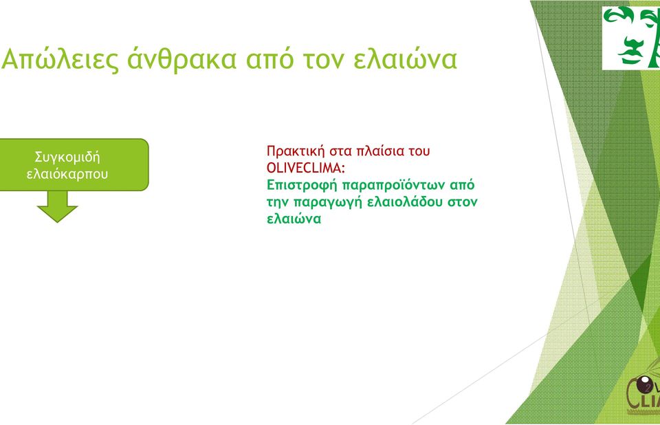 πλαίσια του OLIVECLIMA: Επιστροφή