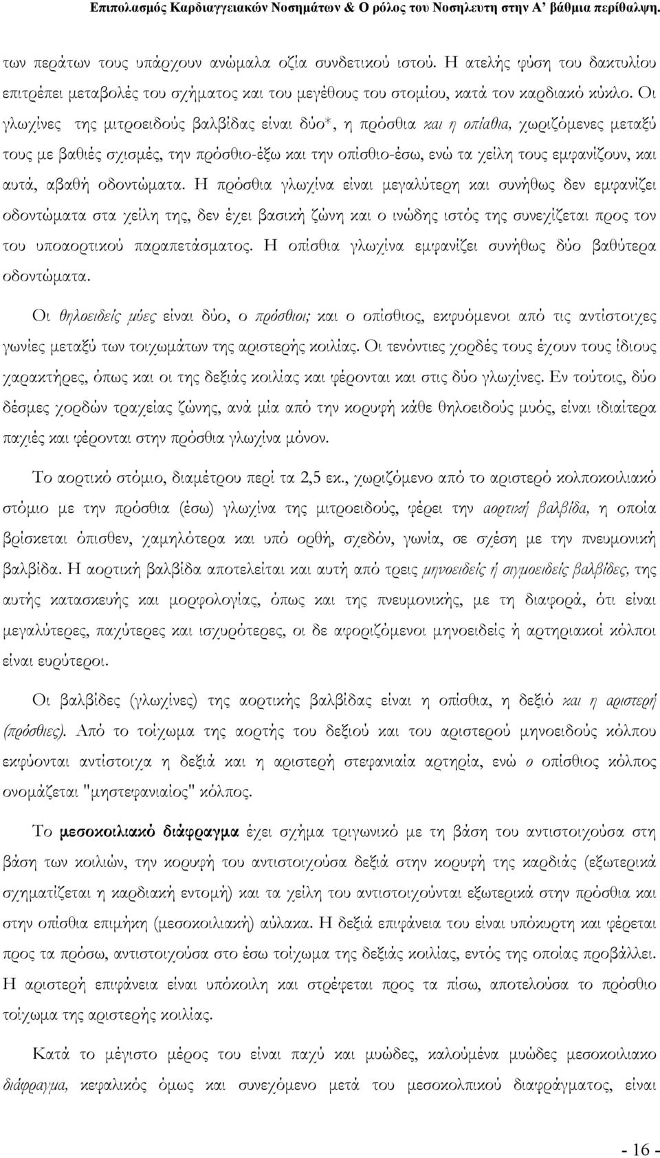 οδοντώματα. Η πρόσθια γλωχίνα είναι μεγαλύτερη και συνήθως δεν εμφανίζει οδοντώματα στα χείλη της, δεν έχει βασική ζώνη και ο ινώδης ιστός της συνεχίζεται προς τον του υποαορτικού παραπετάσματος.