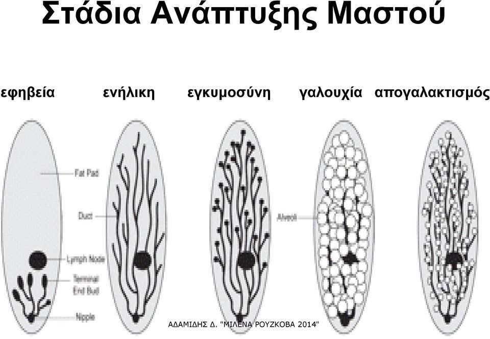 ενήλικη εγκυμοσύνη