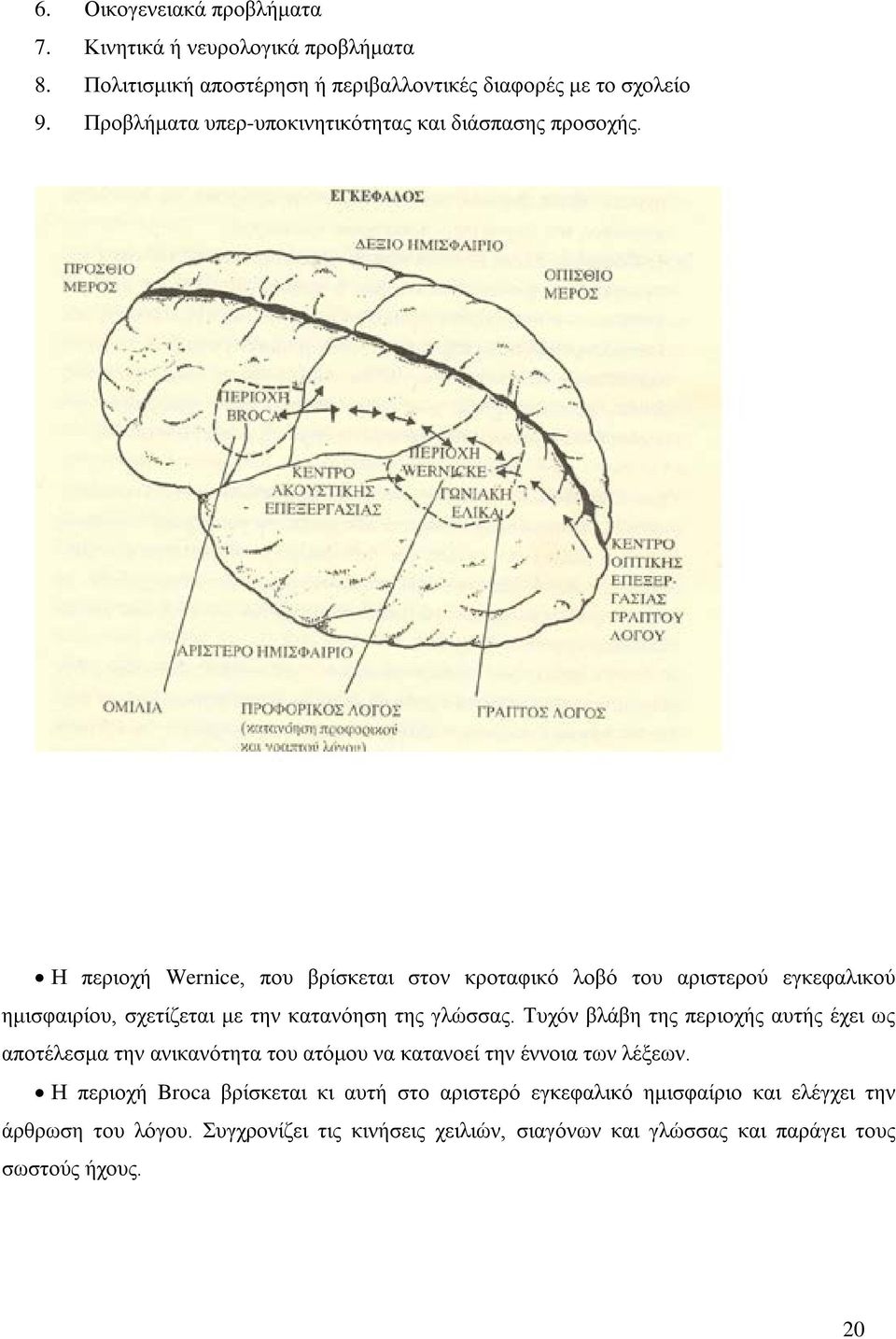 Η περιοχή Wernice, που βρίσκεται στον κροταφικό λοβό του αριστερού εγκεφαλικού ημισφαιρίου, σχετίζεται με την κατανόηση της γλώσσας.