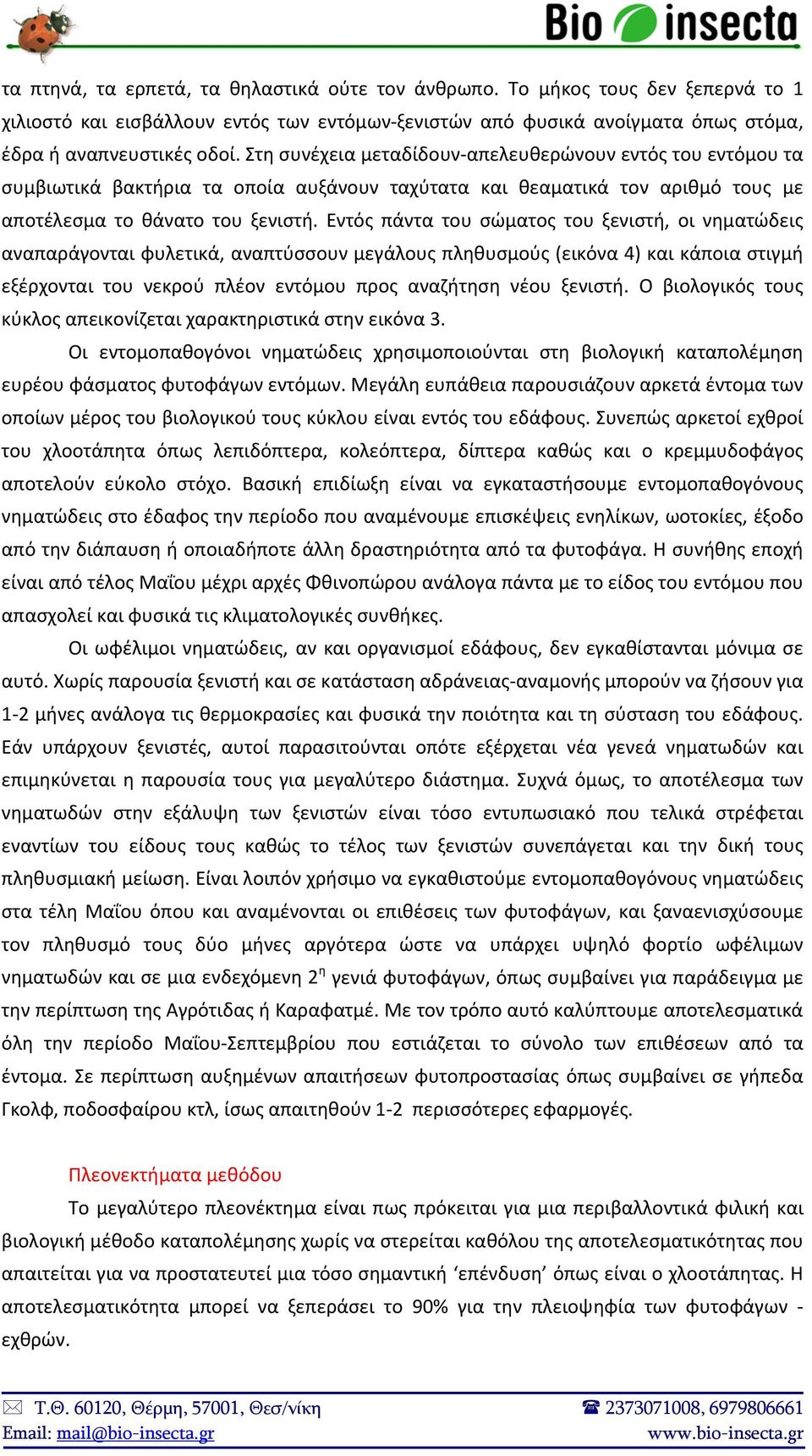 Εντός πάντα του σώματος του ξενιστή, οι νηματώδεις αναπαράγονται φυλετικά, αναπτύσσουν μεγάλους πληθυσμούς (εικόνα 4) και κάποια στιγμή εξέρχονται του νεκρού πλέον εντόμου προς αναζήτηση νέου ξενιστή.