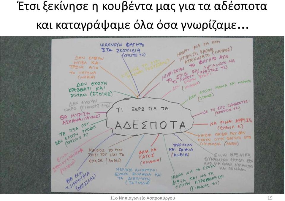 αδέσποτα και