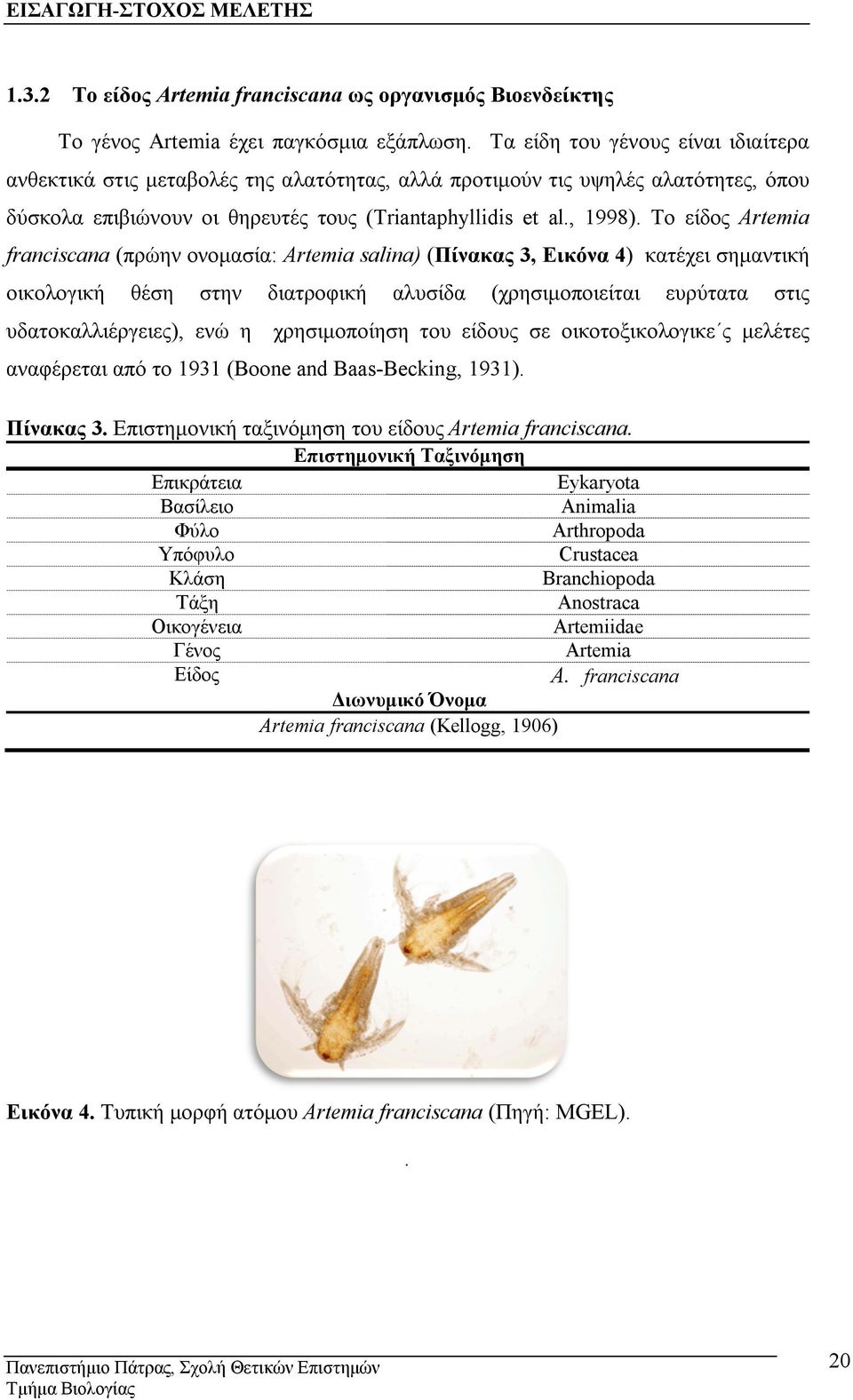 Το είδος Artemia franciscana (πρώην ονομασία: Artemia salina) (Πίνακας 3, Εικόνα 4) κατέχει σημαντική οικολογική θέση στην διατροφική αλυσίδα (χρησιμοποιείται ευρύτατα στις υδατοκαλλιέργειες), ενώ η