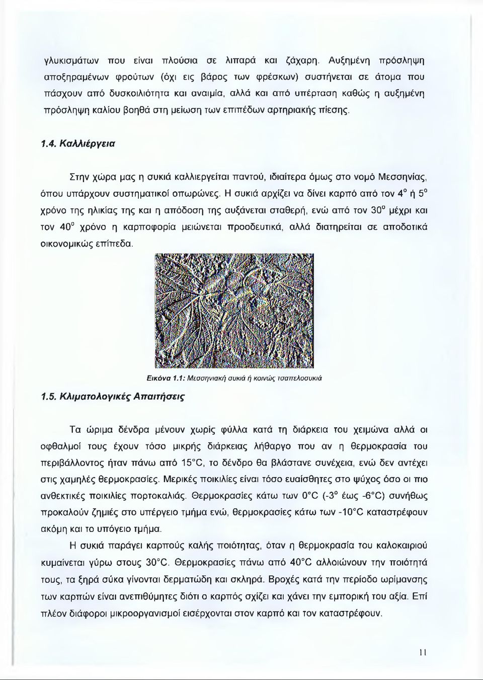 μείωση των επιπέδων αρτηριακής πίεσης. 1.4. Καλλιέργεια Στην χώρα μας η συκιά καλλιεργείται παντού, ιδιαίτερα όμως στο νομό Μεσσηνίας, όπου υπάρχουν συστηματικοί οπωρώνες.