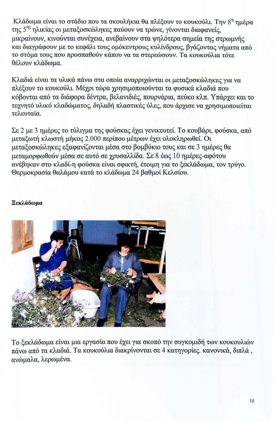 ομόκεντρους κυλίνδρου ς, βγάζοντα ς νήματα από το στόμα του ς που προσπαθούν κάπου να τα στερεώ σουν. Τα κουκού λια τότε θέλουν κλάδωμα.