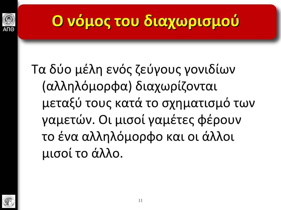 κατά το σχηματισμό των γαμετών.