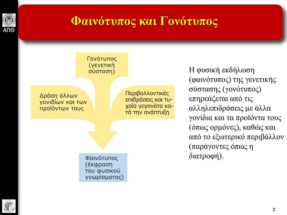 αλληλεπιδράσεις με άλλα γονίδια και τα προϊόντα τους (όπως