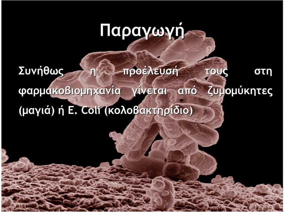 (μαγιά) ή Ε.