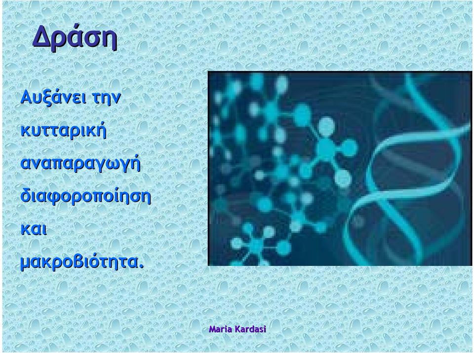 αναπαραγωγή