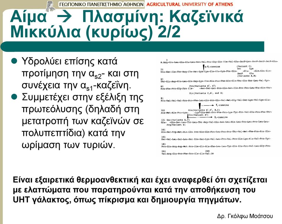 Συμμετέχει στην εξέλιξη της πρωτεόλυσης (δηλαδή στη μετατροπή των καζεϊνών σε πολυπεπτίδια) κατά την