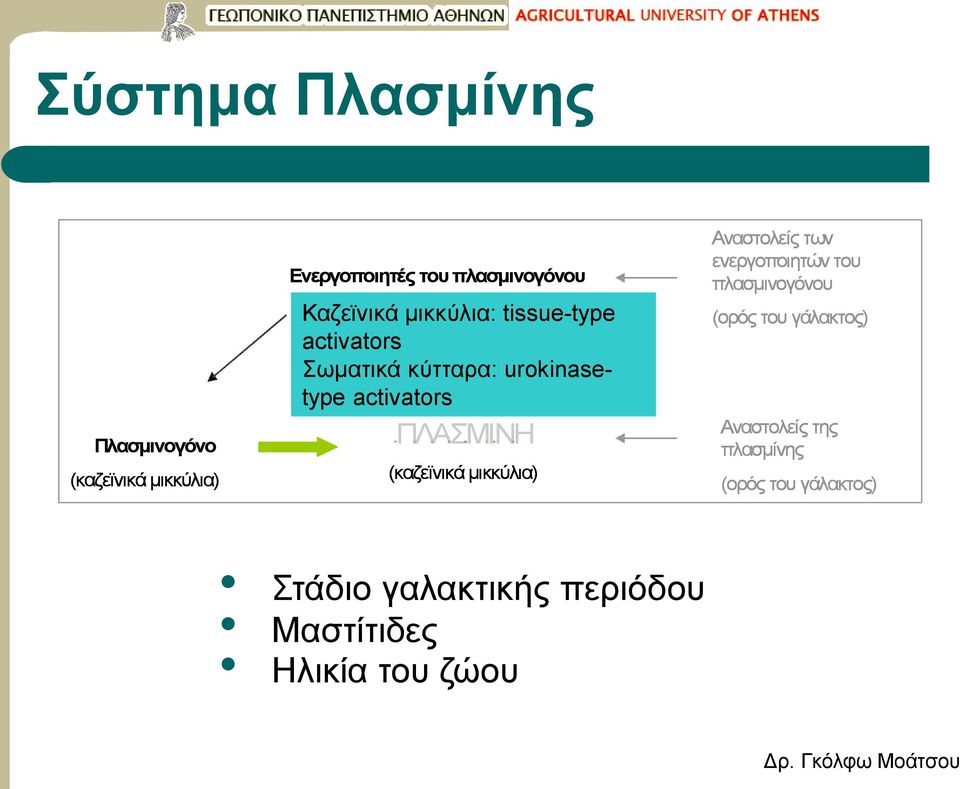 Μ Ι Ν Η Π Λ Α Σ Μ Ι Ν Η (καζεϊνικά μικκύλια) Αναστολείς των ενεργοποιητών του πλασμινογόνου (ορός του