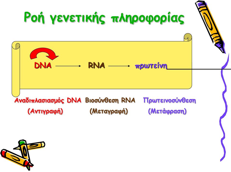 Βιοσύνθεση RNA Πρωτεινοσύνθεση