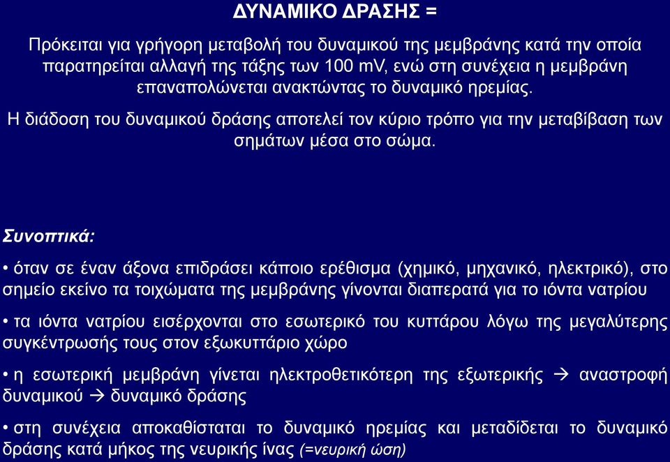 Συνοπτικά: όταν σε έναν άξονα επιδράσει κάποιο ερέθισμα (χημικό, μηχανικό, ηλεκτρικό), στο σημείο εκείνο τα τοιχώματα της μεμβράνης γίνονται διαπερατά για το ιόντα νατρίου τα ιόντα νατρίου