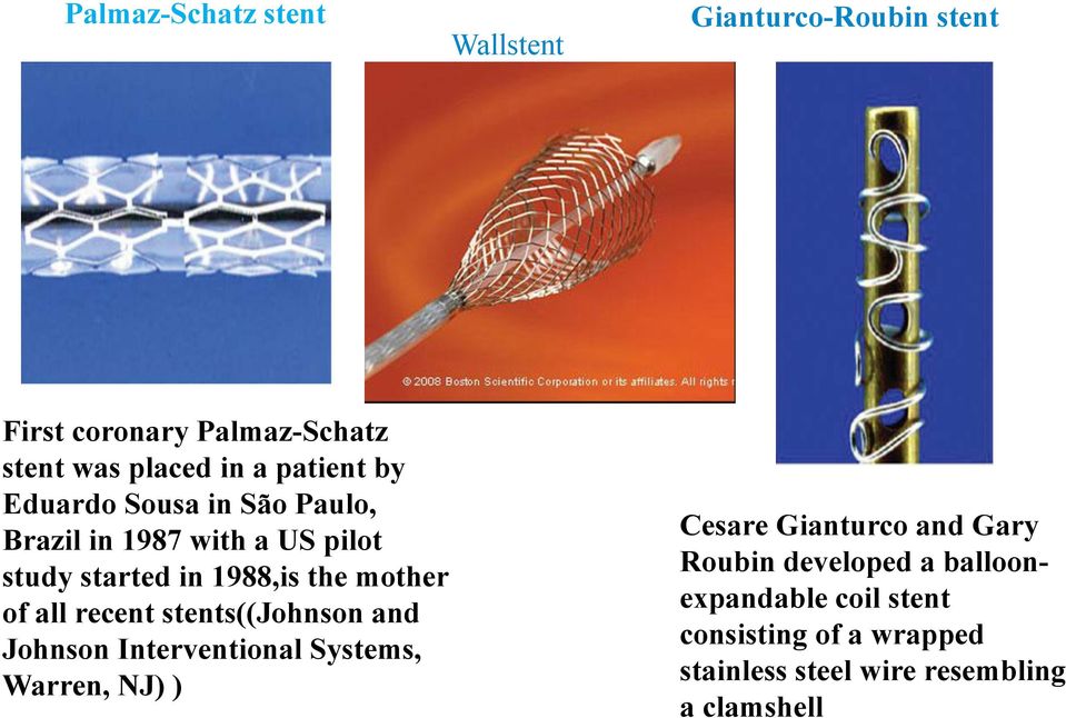 of all recent stents((johnson and Johnson Interventional Systems, Warren, NJ) ) Cesare Gianturco and Gary