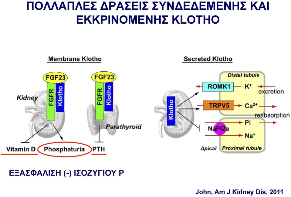 ΕΚΚΡΙΝΟΜΕΝΗΣ KLOTHO