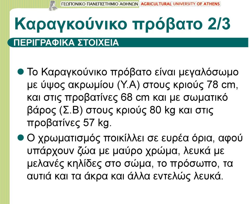 Β) στους κριούς 80 kg και στις προβατίνες 57 kg.