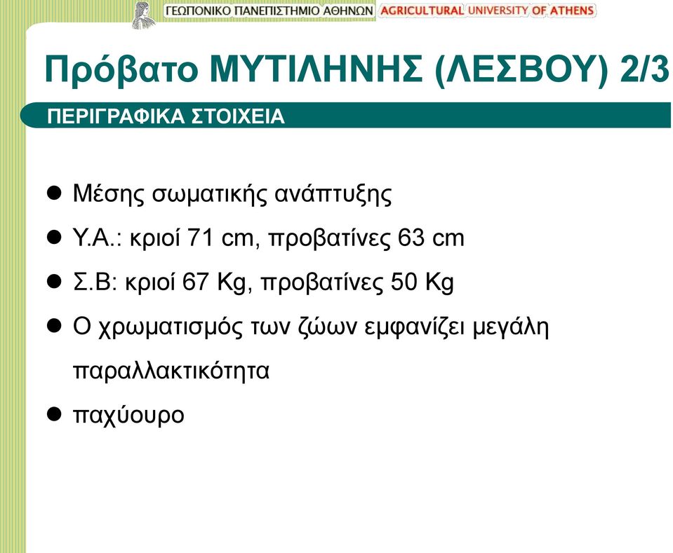 : κριοί 71 cm, προβατίνες 63 cm Σ.