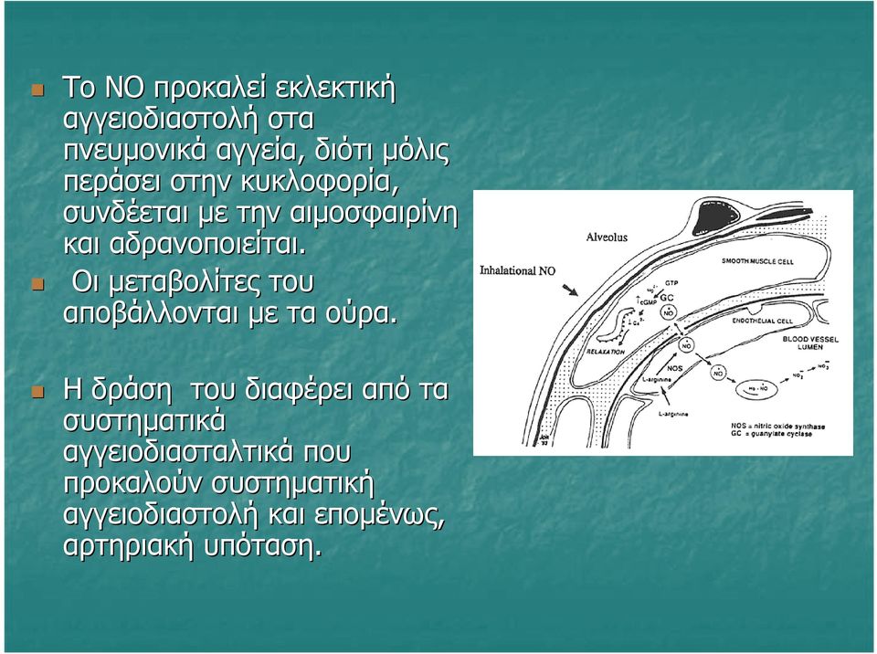 Οι µεταβολίτες του αποβάλλονται µε τα ούρα.