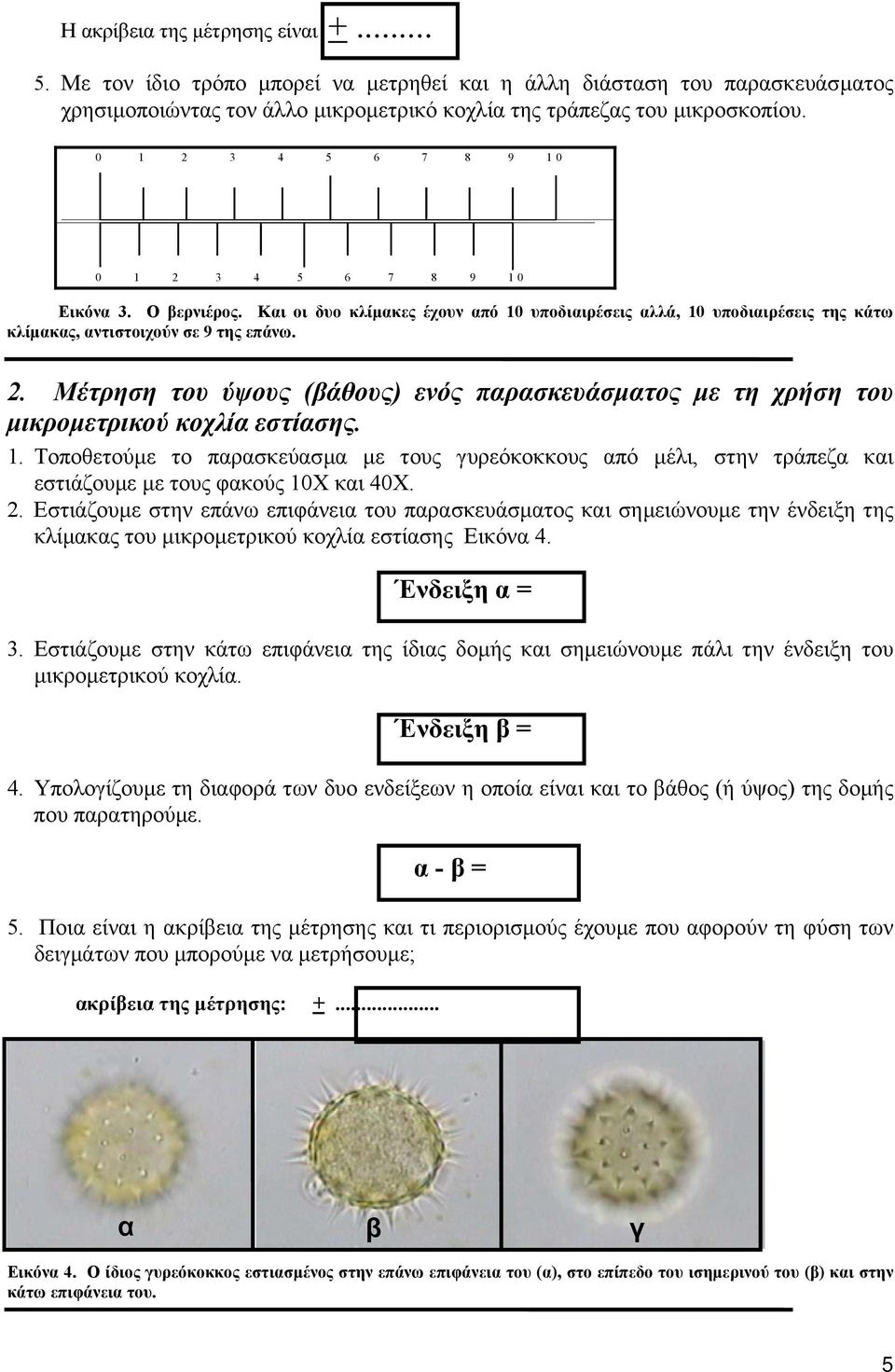 1. Τοποθετούµε το παρασκεύασµα µε τους γυρεόκοκκους από µέλι, στην τράπεζα και εστιάζουµε µε τους φακούς 10Χ και 40Χ. 2.