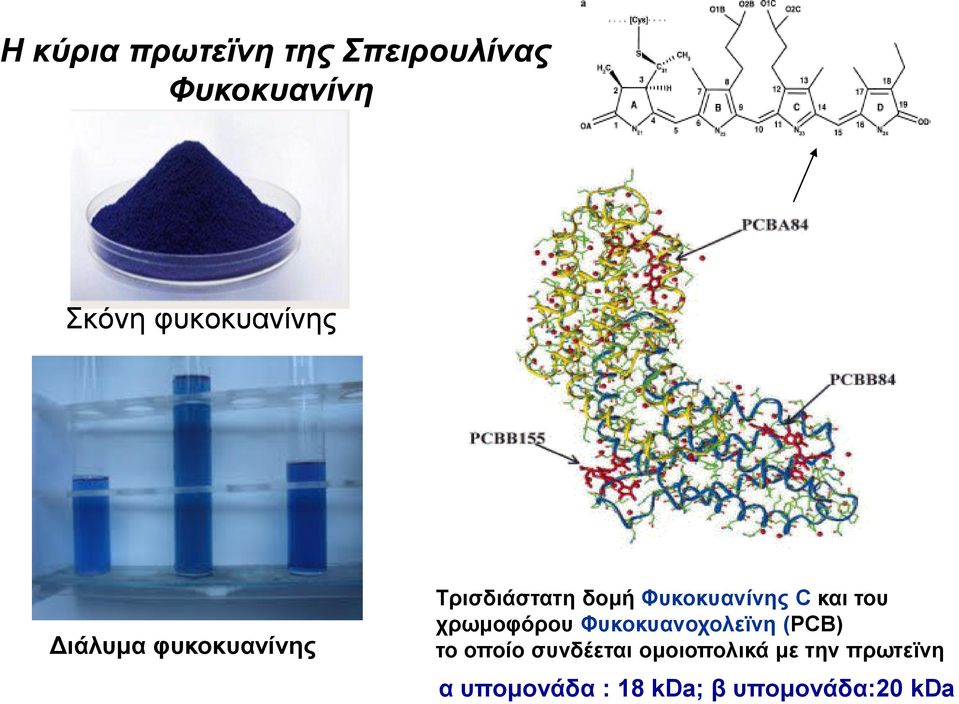 Φυκοκυανίνης C και του χρωμοφόρου Φυκοκυανοχολεϊνη (PCB) το