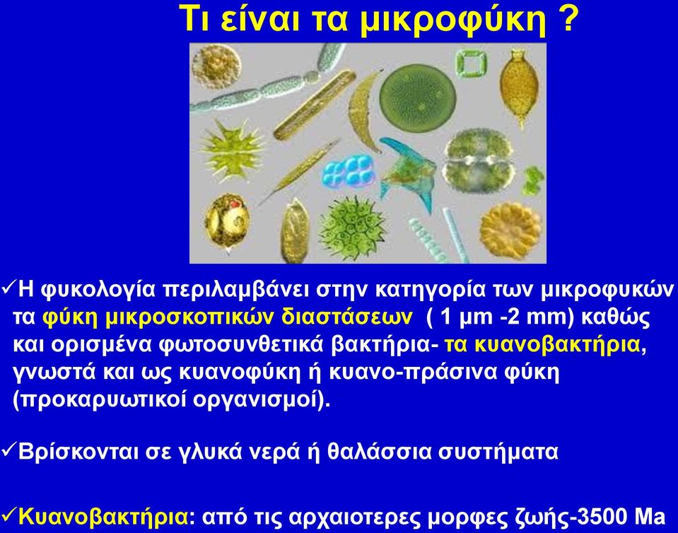 1 μm -2 mm) καθώς και ορισμένα φωτοσυνθετικά βακτήρια- τα κυανοβακτήρια, γνωστά και ως