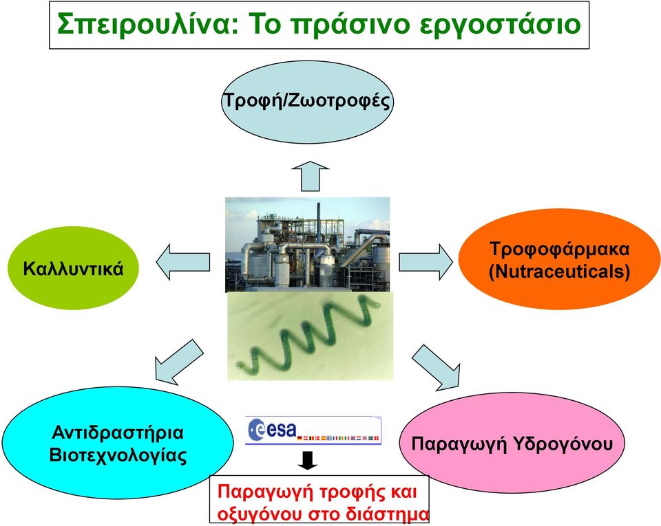 (Nutraceuticals) Αντιδραστήρια Βιοτεχνολογίας