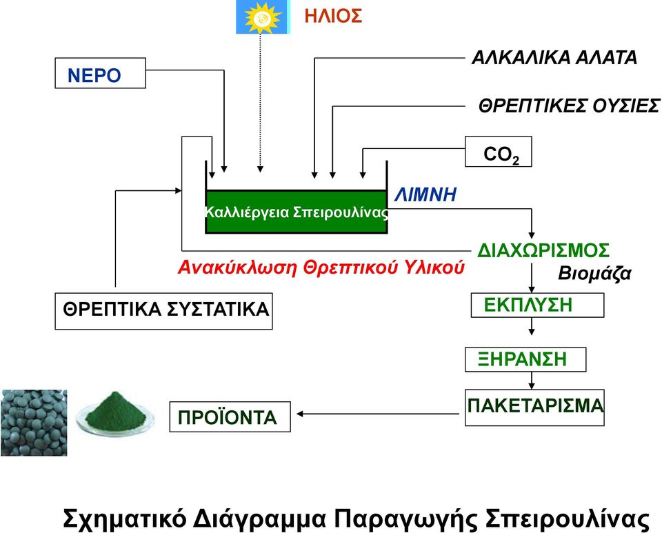 Ανακύκλωση Θρεπτικού Υλικού ΔΙΑΧΩΡΙΣΜΟΣ Βιομάζα ΕΚΠΛΥΣΗ