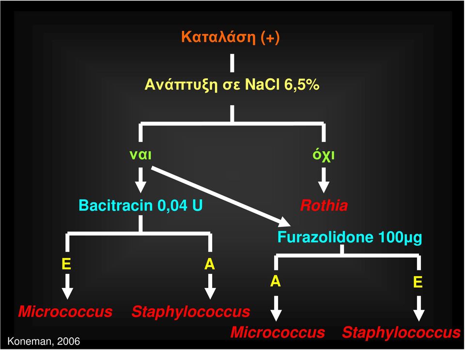 Furazolidone 100μg E Micrococcus