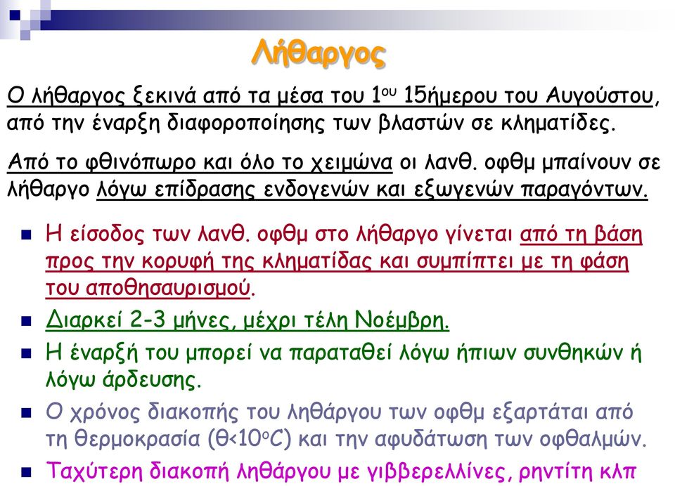 οφθμ στο λήθαργο γίνεται από τη βάση προς την κορυφή της κληματίδας και συμπίπτει με τη φάση του αποθησαυρισμού. Διαρκεί 2-3 μήνες, μέχρι τέλη Νοέμβρη.