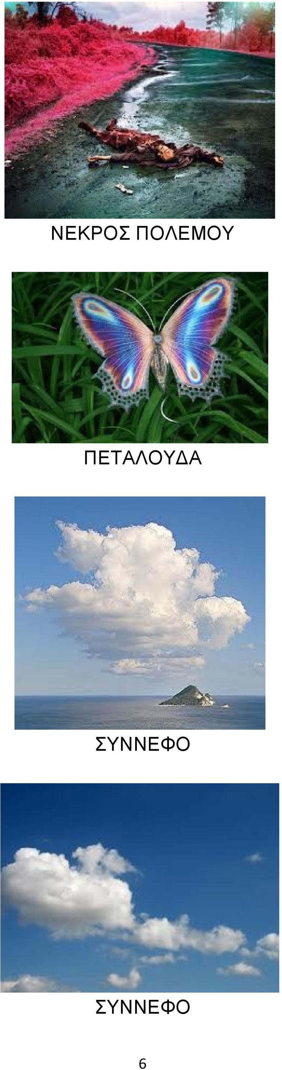 ΠΕΤΑΛΟΥΔΑ