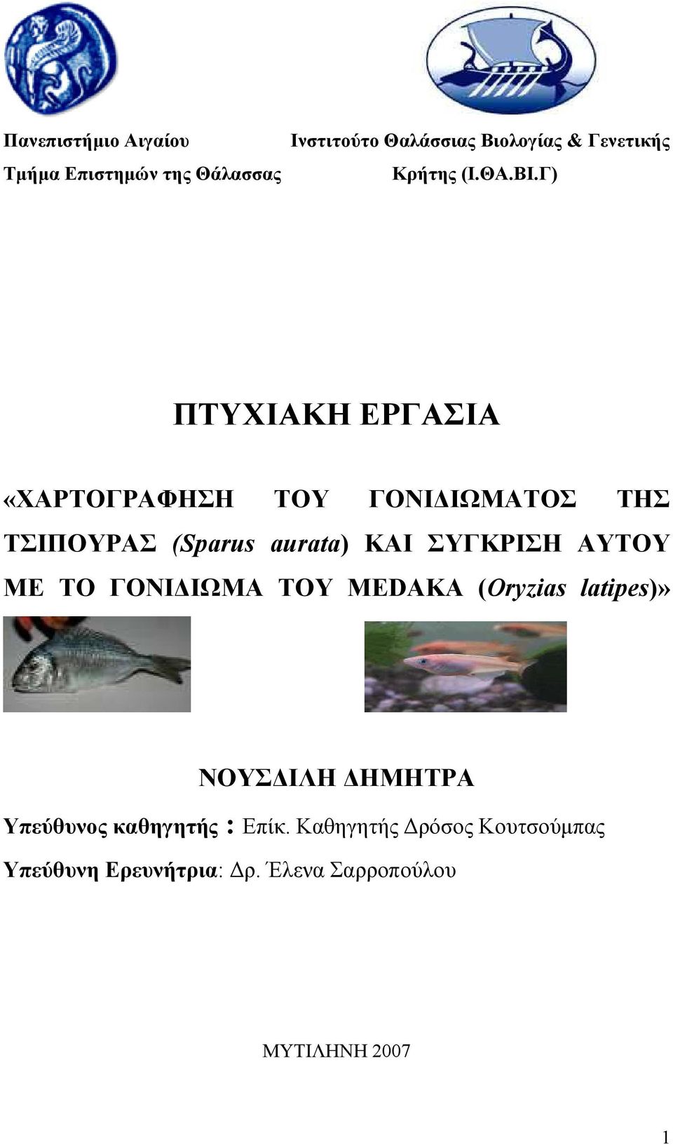 Γ) ΠΤΥΧΙΑΚΗ ΕΡΓΑΣΙΑ «ΧΑΡΤΟΓΡΑΦΗΣΗ ΤΟΥ ΓΟΝΙ ΙΩΜΑΤΟΣ ΤΗΣ ΤΣΙΠΟΥΡΑΣ (Sparus aurata) ΚΑΙ ΣΥΓΚΡΙΣΗ