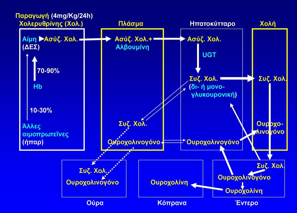 Χολ. Ουροχολινογόνο Ουροχολινογόνο Ουροχολινογόνο Συζ. Χολ. Ουροχολινογόνο Ουροχολίνη Συζ.