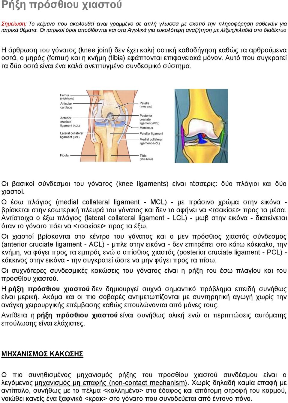 μηρός (femur) και η κνήμη (tibia) εφάπτονται επιφανειακά μόνον. Αυτό που συγκρατεί τα δύο οστά είναι ένα καλά ανεπτυγμένο συνδεσμικό σύστημα.