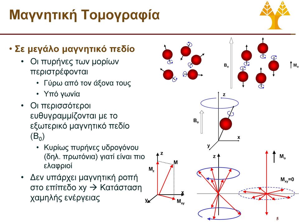 μαγνητικό πεδίο (Β 0 ) B o x Κυρίως πυρήνες υδρογόνου (δηλ.