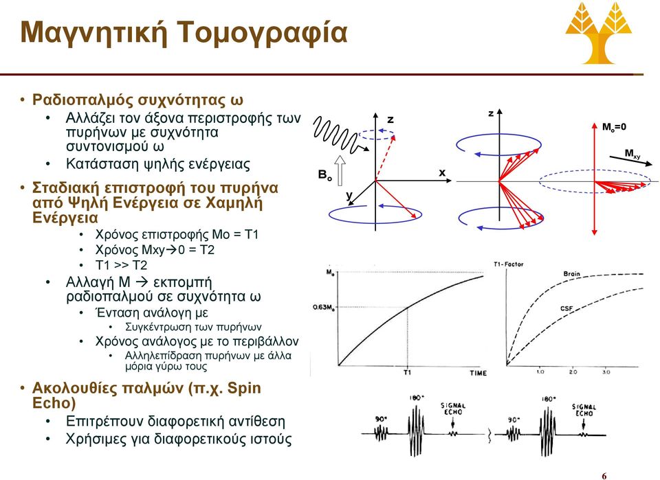 Μ εκπομπή ραδιοπαλμού σε συχνότητα ω Ένταση ανάλογη με Συγκέντρωση των πυρήνων Χρόνος ανάλογος με το περιβάλλον Αλληλεπίδραση πυρήνων με