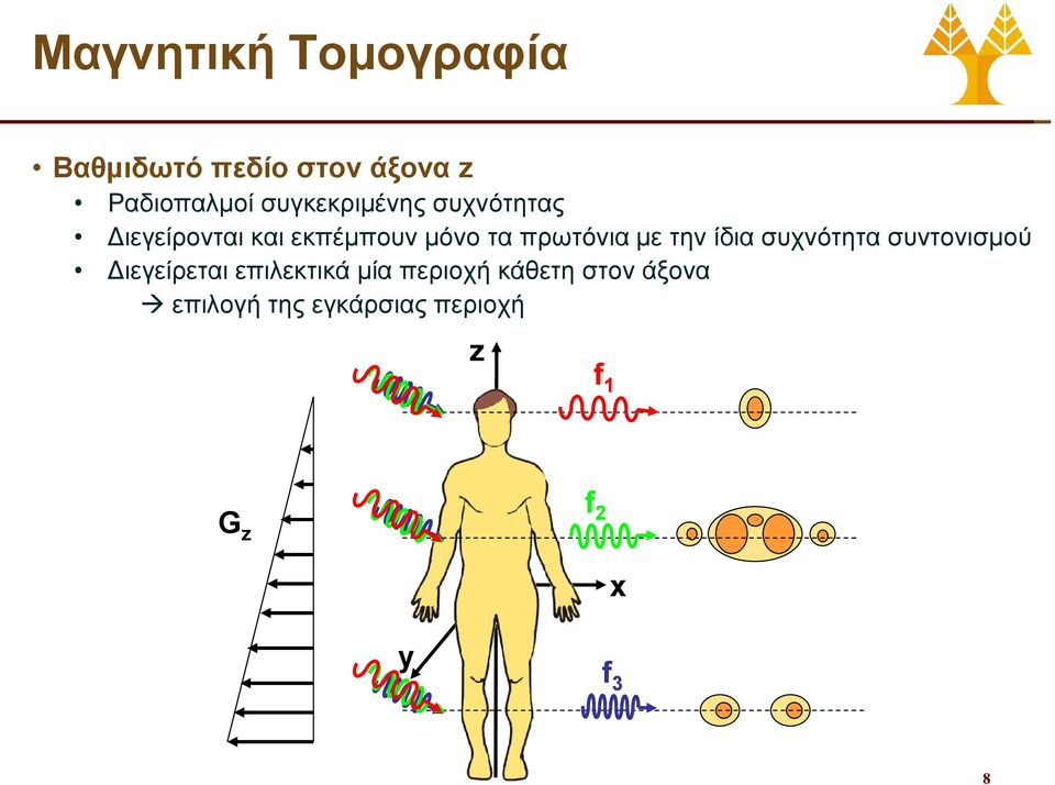 πρωτόνια με την ίδια συχνότητα συντονισμού Διεγείρεται επιλεκτικά