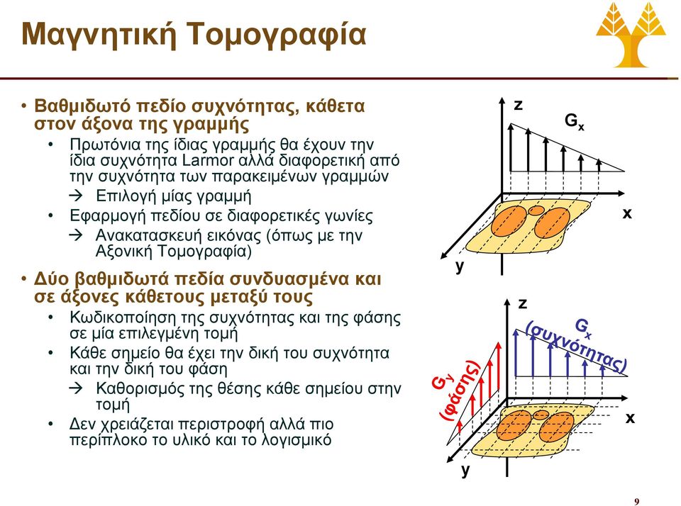 βαθμιδωτά πεδία συνδυασμένα και σε άξονες κάθετους μεταξύ τους Κωδικοποίηση της συχνότητας και της φάσης σε μία επιλεγμένη τομή Κάθε σημείο θα έχει την δική του