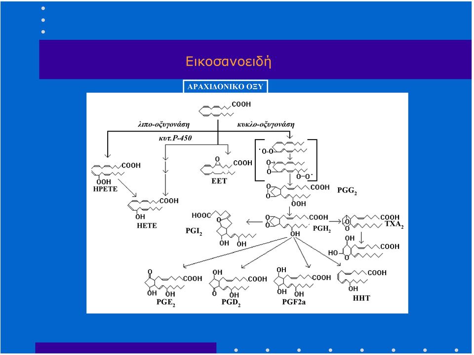 ρ-450 κυκλο-οξυγονάση HPETE EET